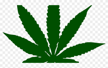 So My Early Morning Reading Seemed To Veer Toward Marijuana - Toronto Maple Leafs New Logo 2016