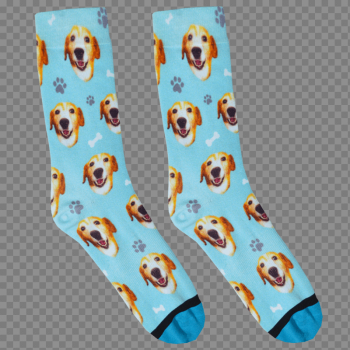 Socks PNG High-Quality Image Socks PNG High-Quality Image
