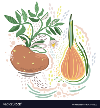 soft set with potato and onion soft set with potato and onion