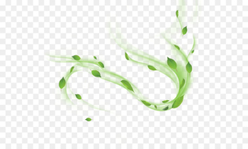 Software - Floating leaves Software - Floating leaves