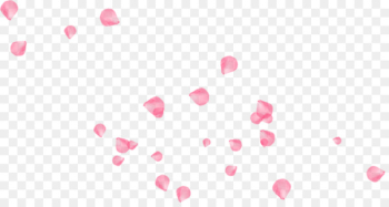 Software Petal Pattern - Pink Floating Rose Petal Decoration Software Petal Pattern - Pink Floating Rose Petal Decoration