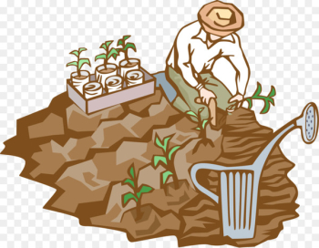 Soil Humus Microbiology Natural environment - natural environment 