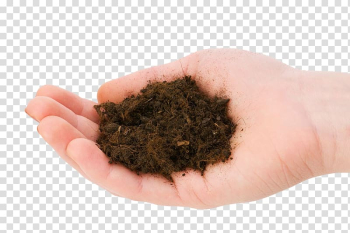 Soil , The heart of the soil transparent background PNG clipart Soil , The heart of the soil transparent background PNG clipart