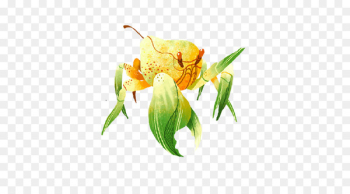 Solar term Insect Animal Illustration - insect Solar term Insect Animal Illustration - insect