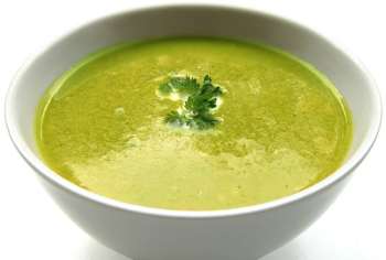Soup Dish Soup Dish