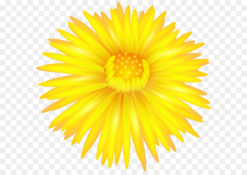 Southern Hemisphere Northern Hemisphere Autumn Season September Equinox - Yellow Flower Transparent PNG Clip Art 