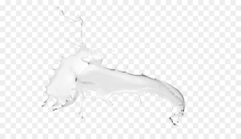 Soy milk Rice milk - Milk splash Soy milk Rice milk - Milk splash