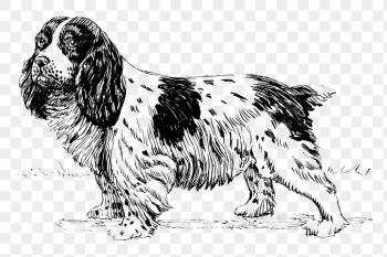 Spaniel dog png, animal clipart, | Free PNG Illustration - rawpixel