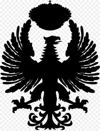 Spanish Army Spain Military Spanish Armed Forces - Spanish Army Spain Military Spanish Armed Forces -