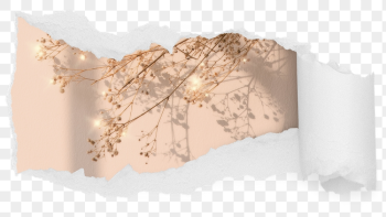Sparkly dried png flower ripped | Free PNG - rawpixel Sparkly dried png flower ripped | Free PNG - rawpixel