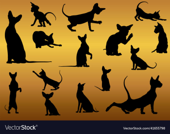 sphinx cat silhouette sphinx cat silhouette