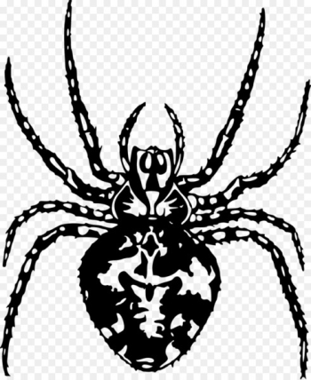 Spider Arthropod Pixabay Illustration - Vector spider Spider Arthropod Pixabay Illustration - Vector spider