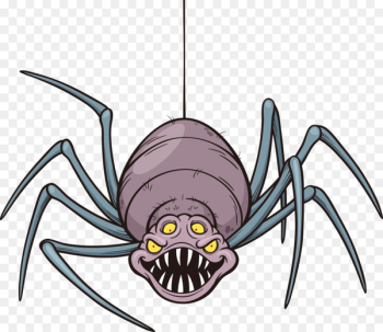 Spider Cartoon Royalty-free Illustration - Vector spider Spider Cartoon Royalty-free Illustration - Vector spider