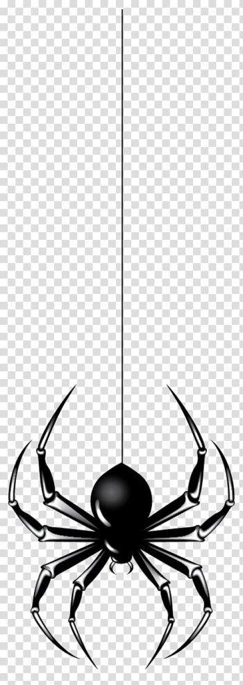 Spider Halloween , Halloween Spider transparent background PNG clipart Spider Halloween , Halloween Spider transparent background PNG clipart