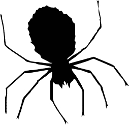 spider - /holiday/halloween/spider/spider.png.html spider - /holiday/halloween/spider/spider.png.html