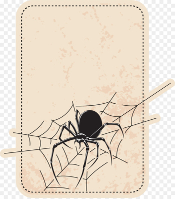 Spider Icon - Spider Border Spider Icon - Spider Border