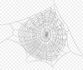 Spider-Man Monochrome Screenwriter Producer Drawing - spider web 