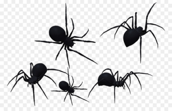 Spider-Man Southern black widow Redback spider Clip art - spider 