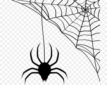 Spider-Man Spider web Scalable Vector Graphics - spider 