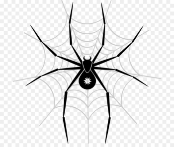 Spider-Man Vector graphics Spider web Portable Network Graphics - spider 