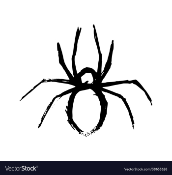 spider on white background spider on white background