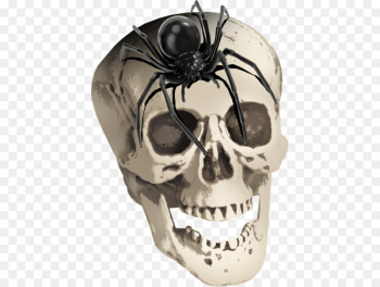 Spider Skull Skeleton ForgetMeNot - Horror skull and spider Spider Skull Skeleton ForgetMeNot - Horror skull and spider
