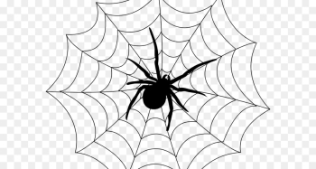 Spider, Spider Web, Spiderman, White, Blackandwhite PNG Spider, Spider Web, Spiderman, White, Blackandwhite PNG