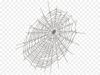 Spider web Clip art - Halloween Large Spider Web PNG Clipart Spider web Clip art - Halloween Large Spider Web PNG Clipart