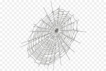 Spider web Clip art - spider Spider web Clip art - spider