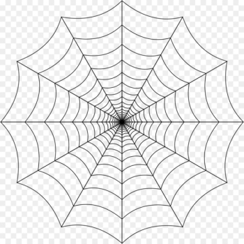 Spider web Clip art - Spider Web Transparent Background Spider web Clip art - Spider Web Transparent Background