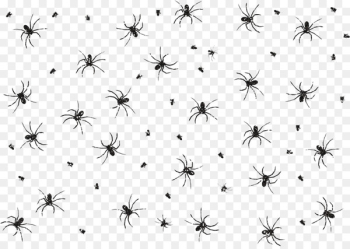 Spider web Download - spider Spider web Download - spider