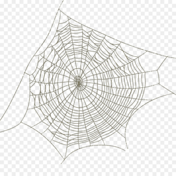 Spider web Drawing - Spider web spider web pattern image Spider web Drawing - Spider web spider web pattern image