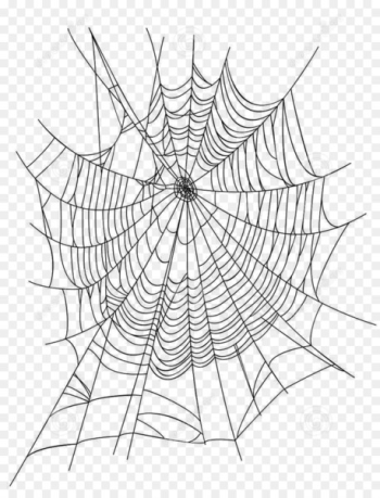 Spider web Euclidean vector Illustration - Creative cartoon spider web spider web icon 