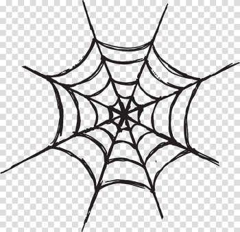 Spider web graphics Illustration, spider transparent background PNG clipart Spider web graphics Illustration, spider transparent background PNG clipart
