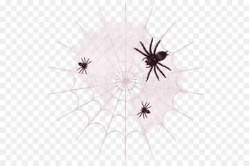 Spider web Halloween Boszorkxe1ny - Pink spider web png download ...