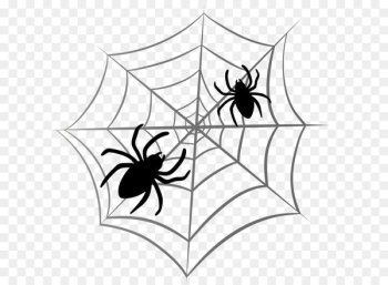 Spider web Halloween Clip art - Halloween Spider Web PNG Clipart 