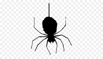 Spider web Halloween Icon - Halloween Spider PNG Clipart Spider web Halloween Icon - Halloween Spider PNG Clipart