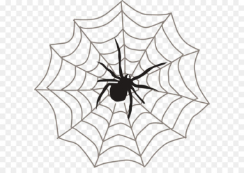 Spider web Itsy Bitsy Spider Clip art - Spider web spider Spider web Itsy Bitsy Spider Clip art - Spider web spider