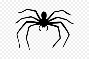 Spider web Silhouette Drawing - carnivores Spider web Silhouette Drawing - carnivores