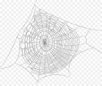 Spider web Spider silk Clip art - Spider web spider web painted cartoon 