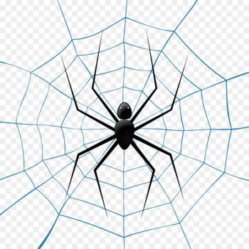 Spider web Theridiidae Euclidean vector Illustration - Vector spider 