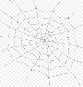 Spider web - White spider web Spider web - White spider web