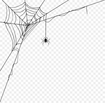 Spider web World Wide Web Spider silk - Spider web decoration pattern 