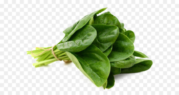 Spinach Leaf vegetable Food - espinaca Spinach Leaf vegetable Food - espinaca