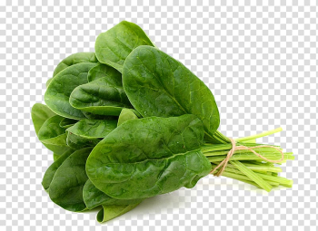 Spinach Leaf vegetable Food , vegetable transparent background PNG clipart Spinach Leaf vegetable Food , vegetable transparent background PNG clipart
