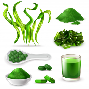 Spirulina realistic set Free Vector Spirulina realistic set Free Vector