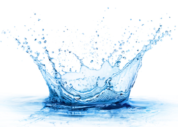 Splashing Water In White Background Splashing Water In White Background