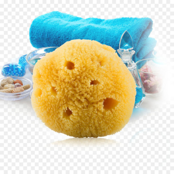 Sponge Bathing Bathroom Face Facial - Sponge bath bath toiletries 