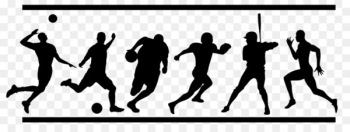 Sports league Coach Volleyball Athlete - sport Sports league Coach Volleyball Athlete - sport