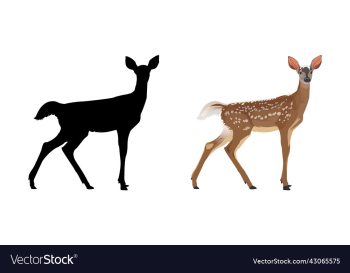 spotted deer with silhouette spotted deer with silhouette